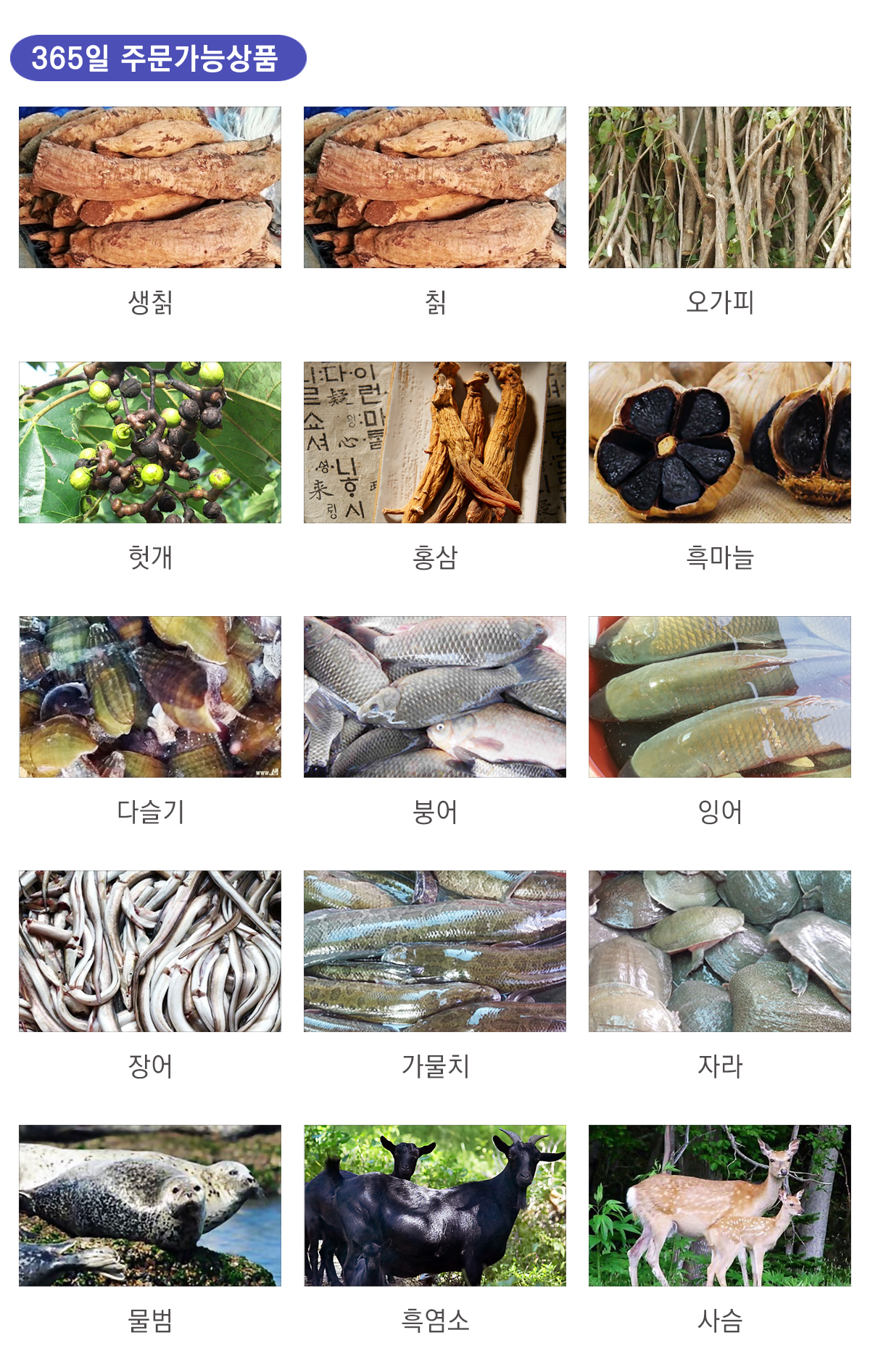 이미지명