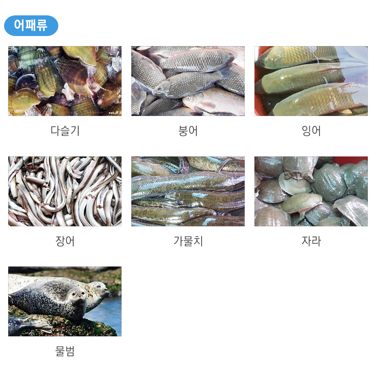 이미지명