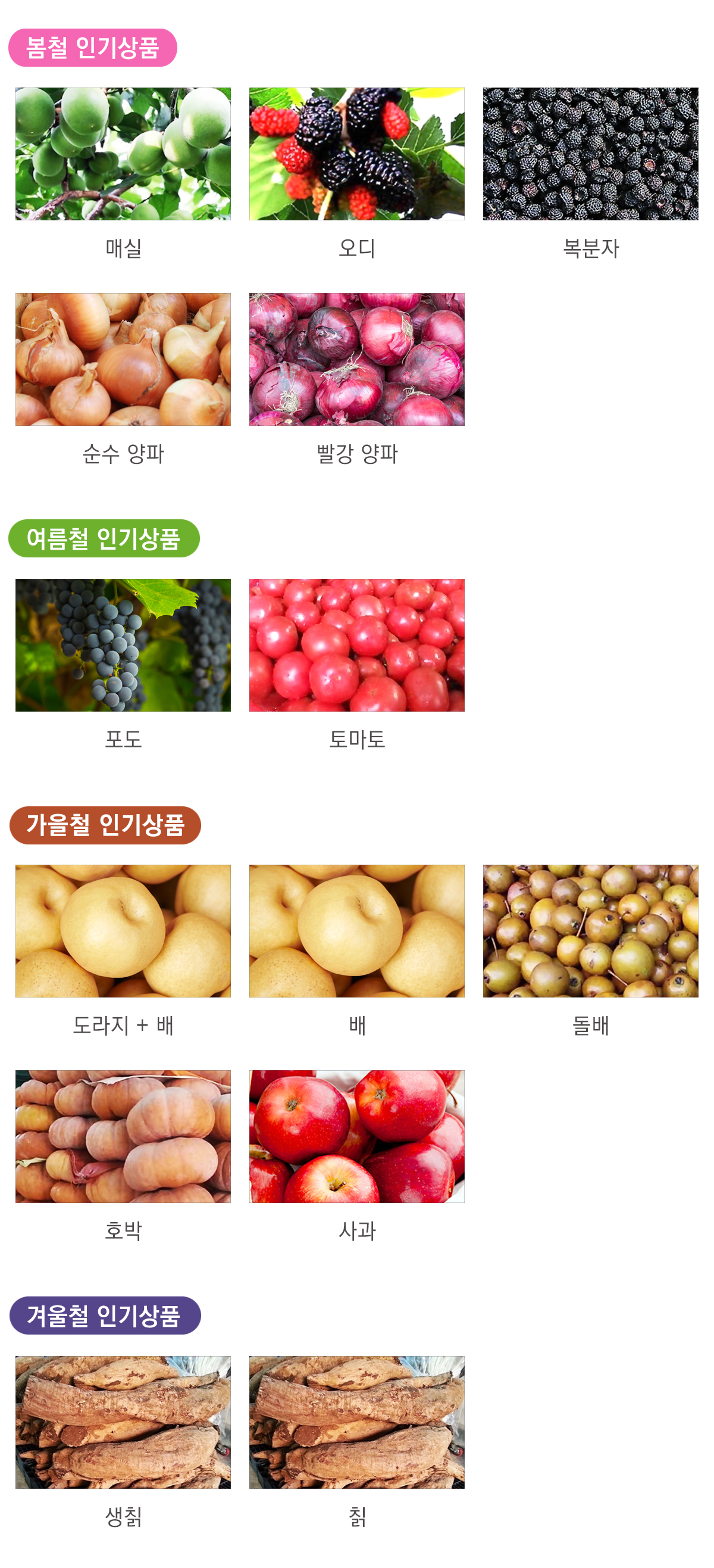 이미지명