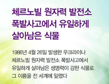 아로니아즙, 블랙베리, 레드베리, 퍼플베리 를 아로니아