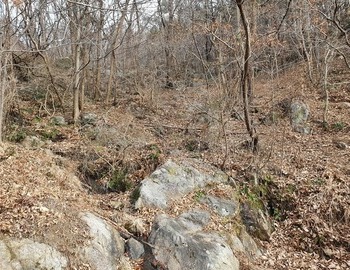 자연에서 자란 산 약초를 찿아서~~ 