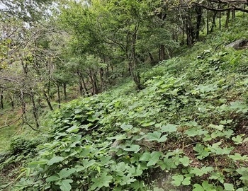 산에서는 조심할게 많아요