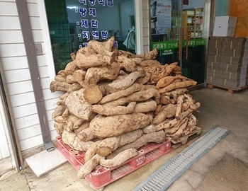 지난 겨울 의 사용 칡들 .