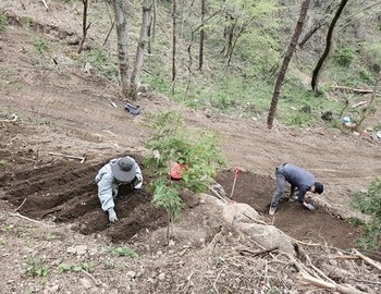 봄의 생동.