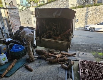햇칡 처음 들어 옵니다.