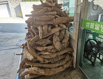 생칡.