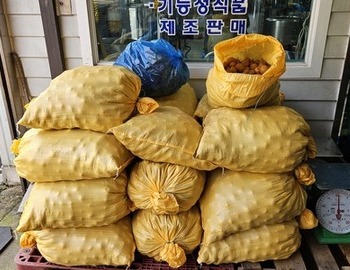 산돌배.