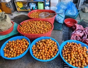 돌배, 요즘 꼭 필요한 즙 산 돌배즙.