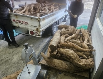 겨울칡이 맛있다.